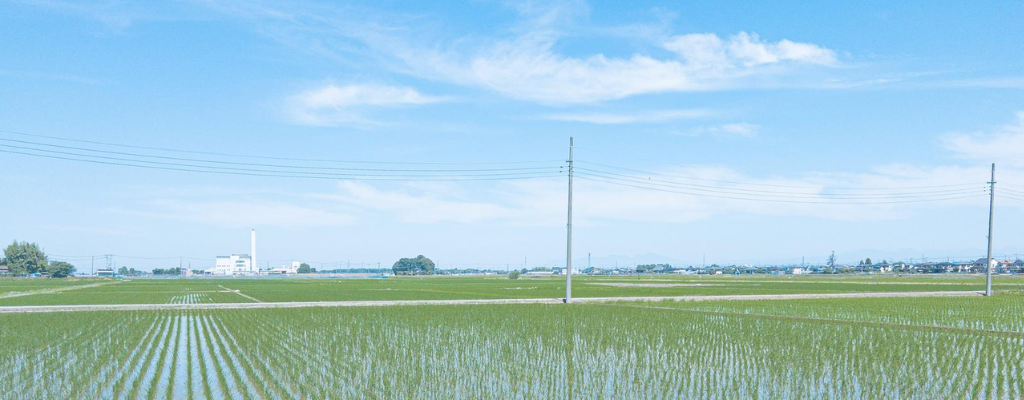 長野の田舎